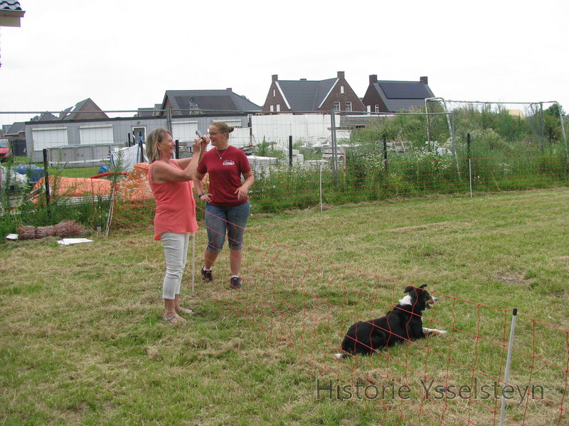 Tineke Camps (rechts) van Schaapskudde De Peeldrift met een van haar border collies.