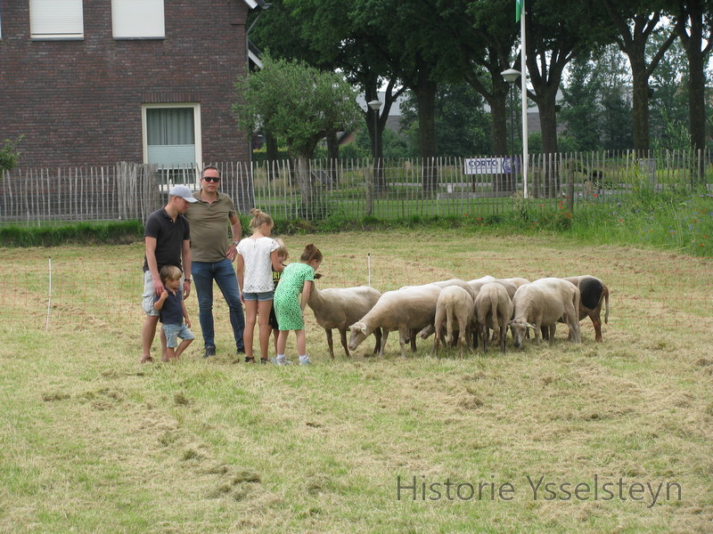 De gelegenheids schaapskudde voor de demonstratie met enkele bezoekers.